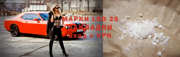 гашик Майский