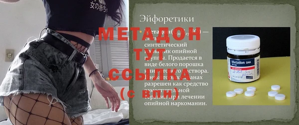 гашик Майский