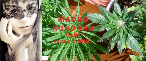 гашик Майский