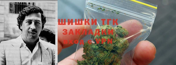 гашик Майский