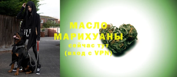 индика Мегион