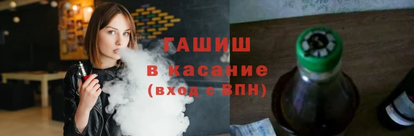 индика Мегион