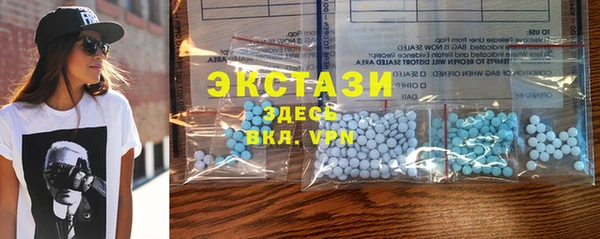 индика Мегион