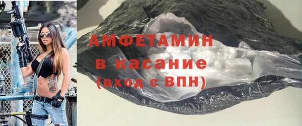 индика Мегион