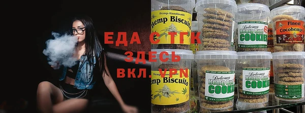 индика Мегион