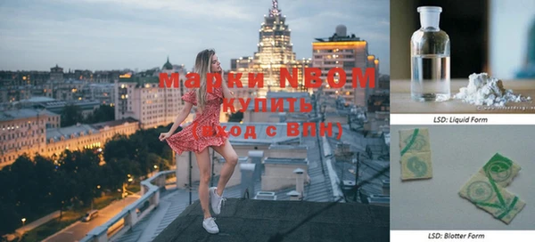 гашик Майский