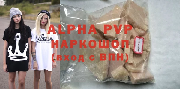 гашик Майский