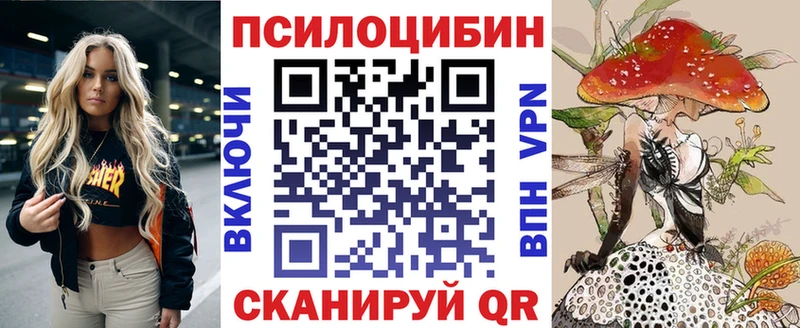 Псилоцибиновые грибы Psilocybe  цены   Серпухов 
